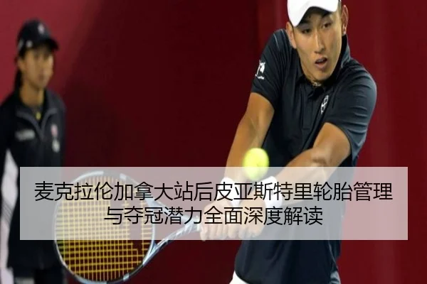 mai-ke-la-lun-jia-na-da-zhan-hou-pi-ya-si-te-li-lun-tai-guan-li-yu-duo-guan-qian-li-quan-mian-shen-du-jie-du-2-761.jpg