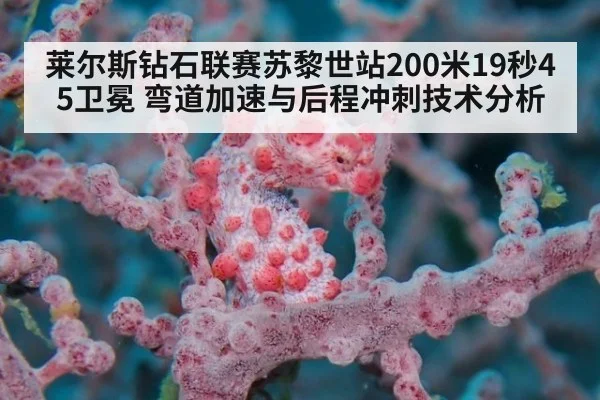 莱尔斯钻石联赛苏黎世站200米19秒45卫冕 弯道加速与后程冲刺技术分析